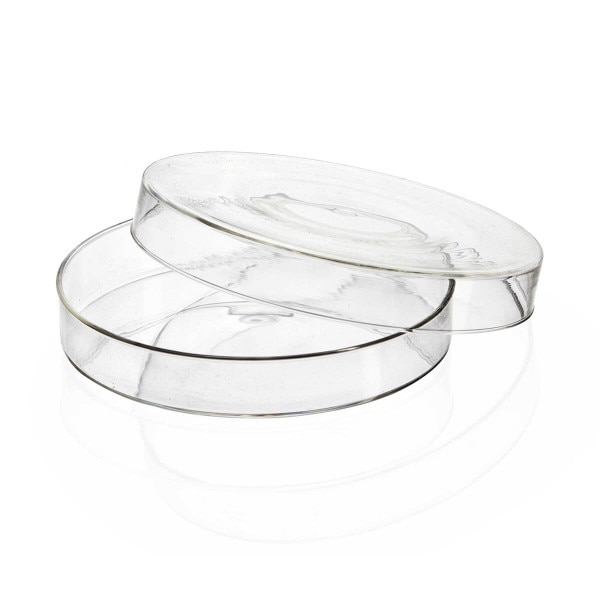 Glass petri dish, 100 x 15 mm